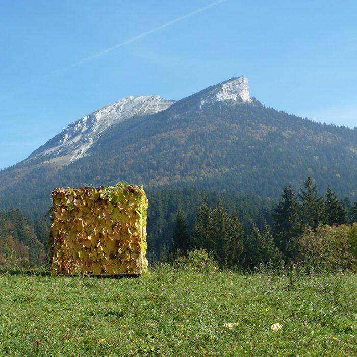 LandArt sous Chamechaude