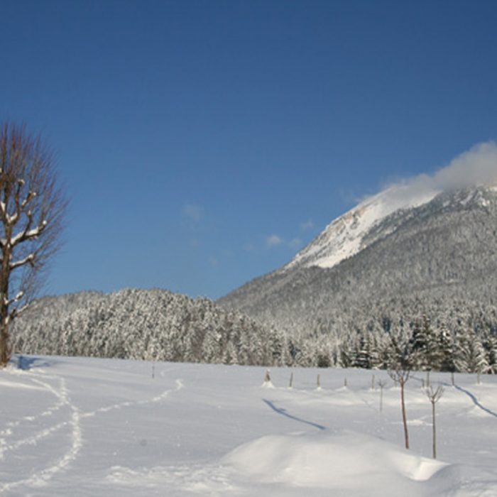 Vue de Chamechaude de la maison